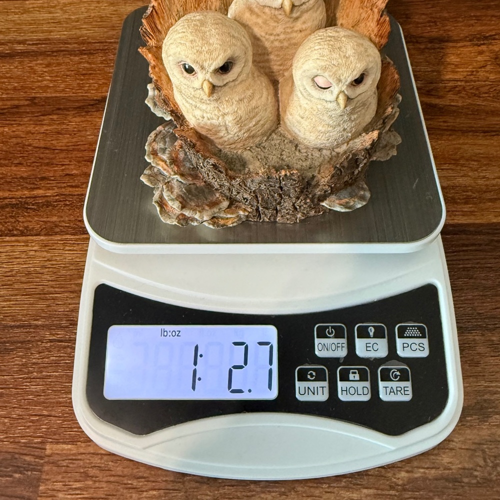 BORDER FINE ARTS Owl Figurine - Picture 16 of 16